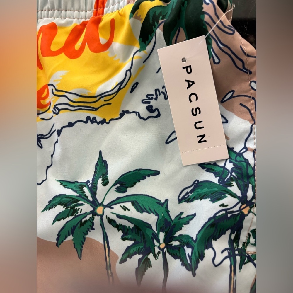 New With Tags Pacsun Tan Surf & Sand 4" Swim Trunks Side: Small - Picture 2 of 3